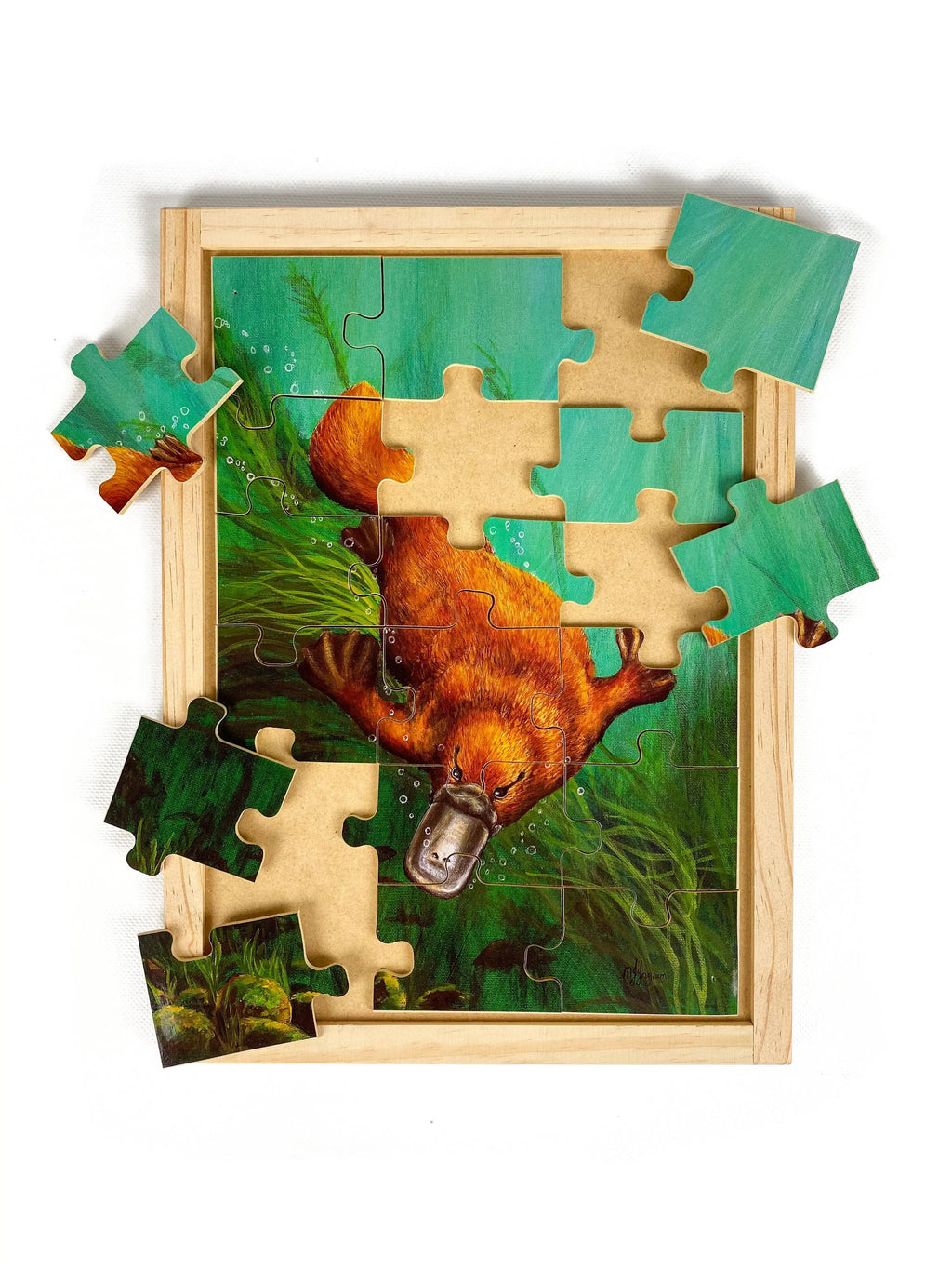 Platypus Puzzle — alternative view
