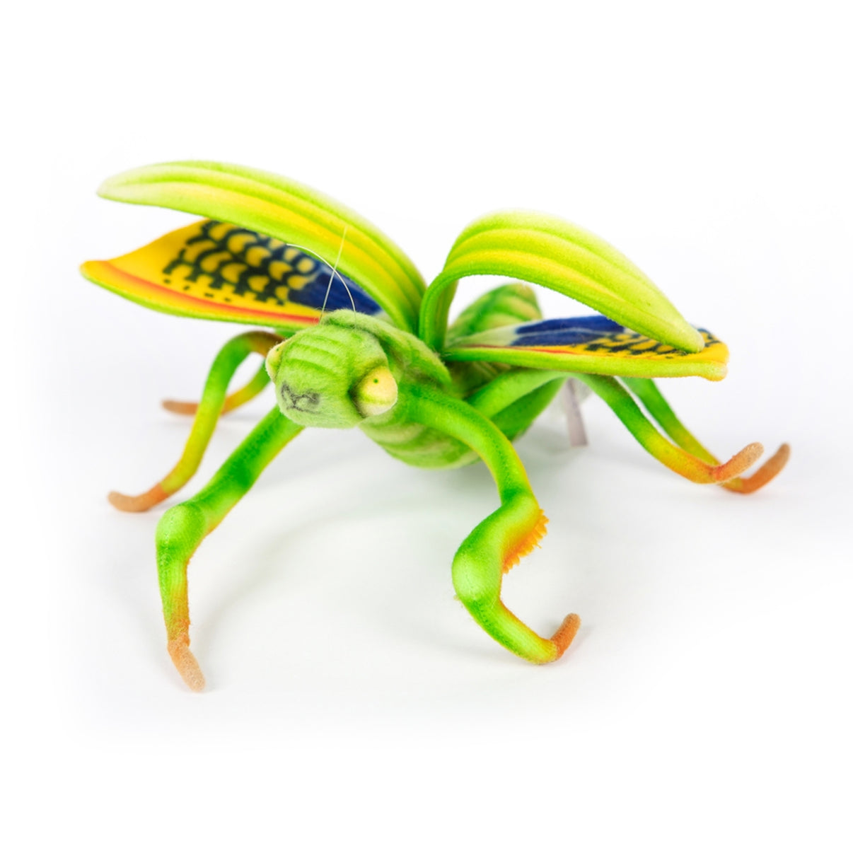 Praying Mantis 26cm L
