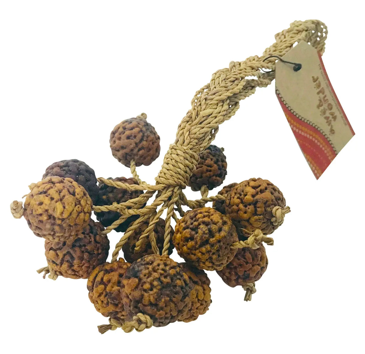 Quondong Shaker — Australian Aboriginal quondong seedpod shaker for early childhood music