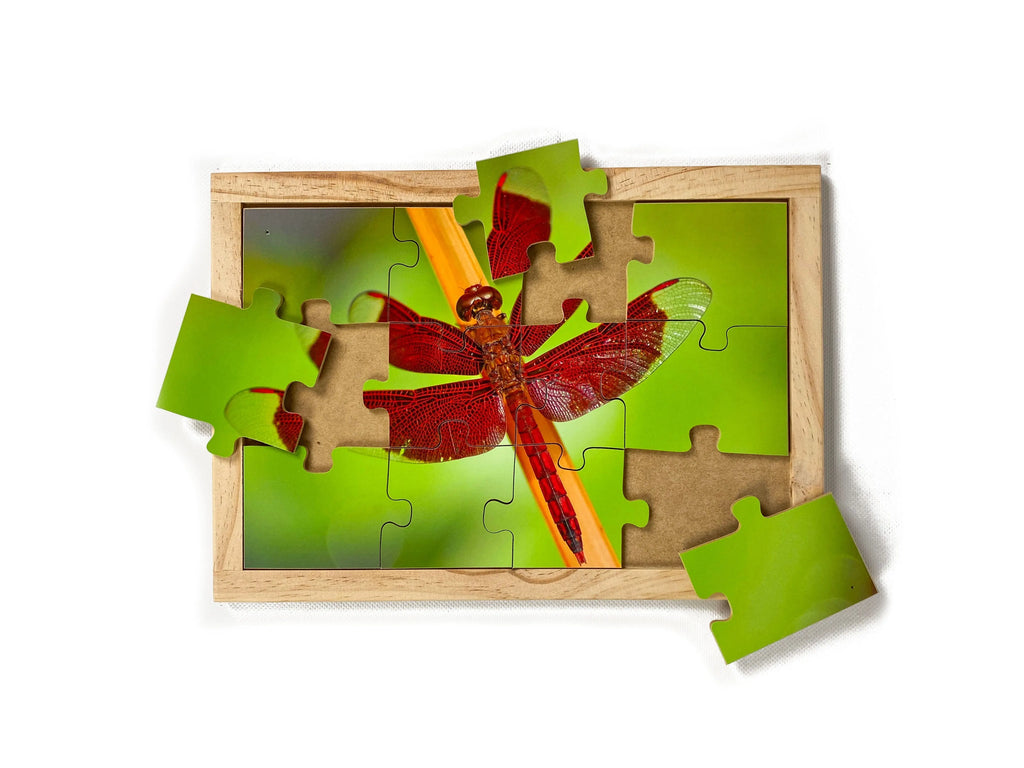 Garden Bugs Set — Red Dragonfly puzzle alternative view