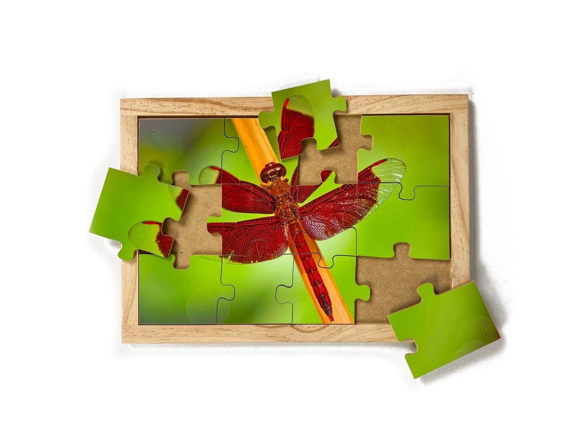 Garden Bugs Set — Red Dragonfly puzzle alternative view