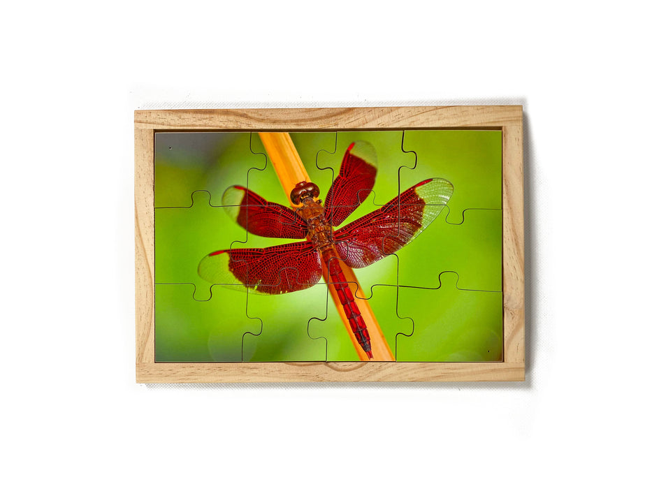 Red Dragonfly Puzzle