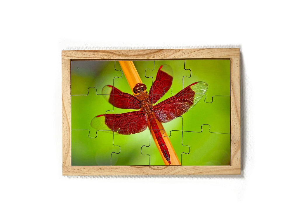 Garden Bugs Set — Red Dragonfly puzzle