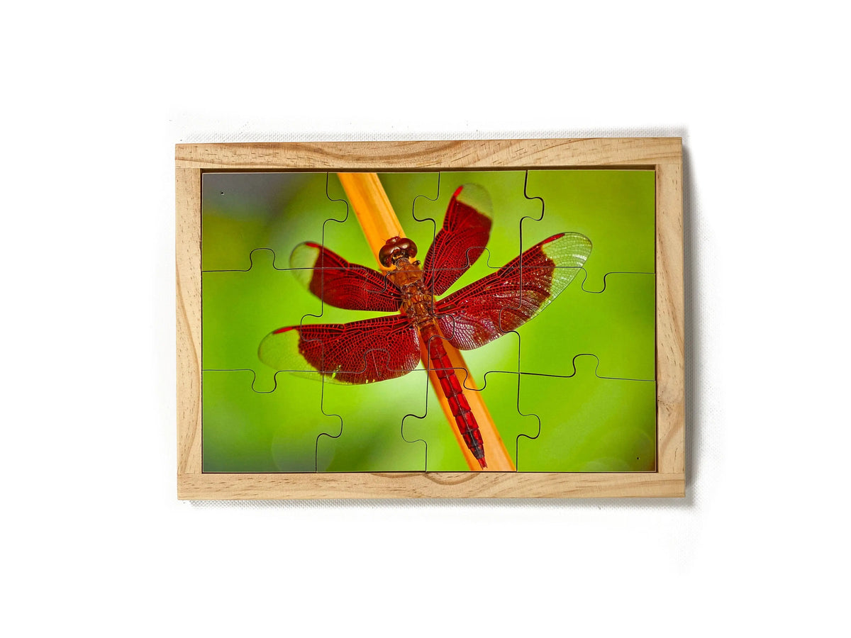 Garden Bugs Set — Red Dragonfly puzzle