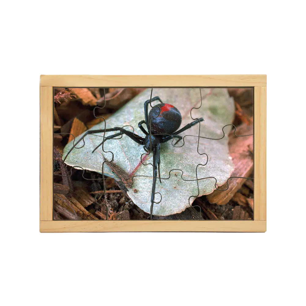Redback Spider Puzzle — hand-painted wooden jigsaw puzzle — Australian-made early learning resource, ages 3+