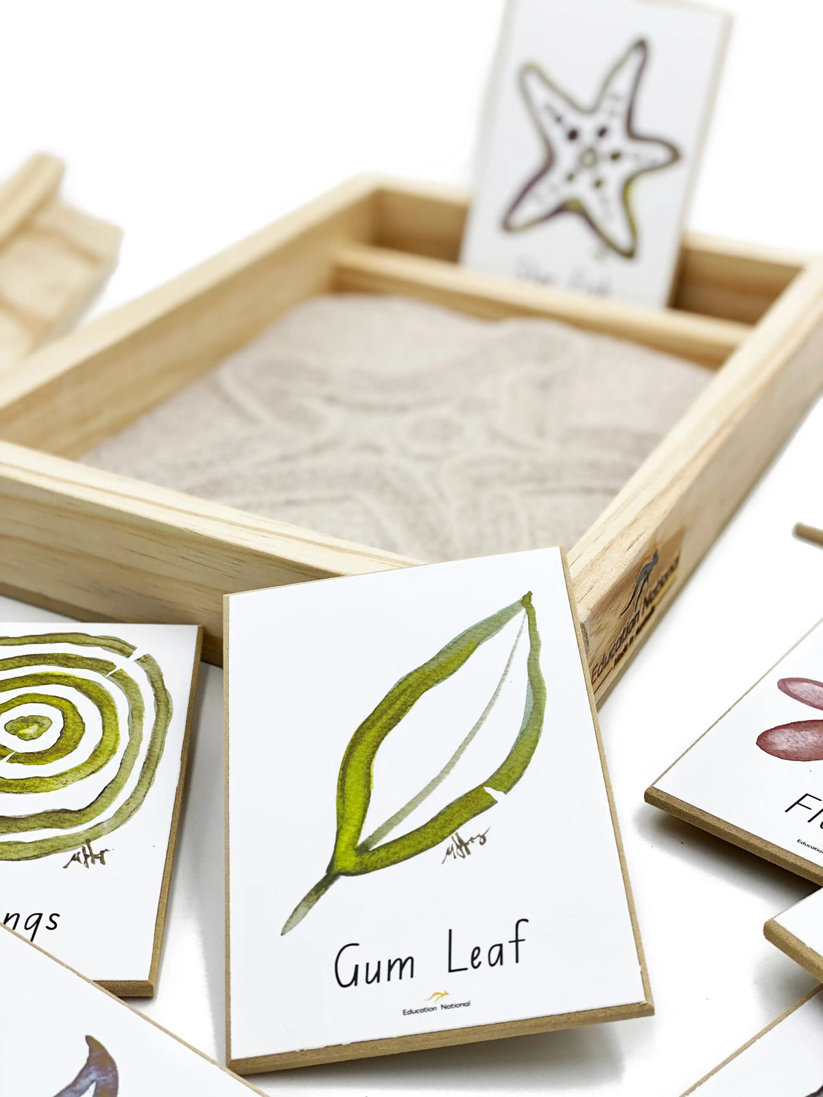 Shapes of nature sand drawing game — additional view