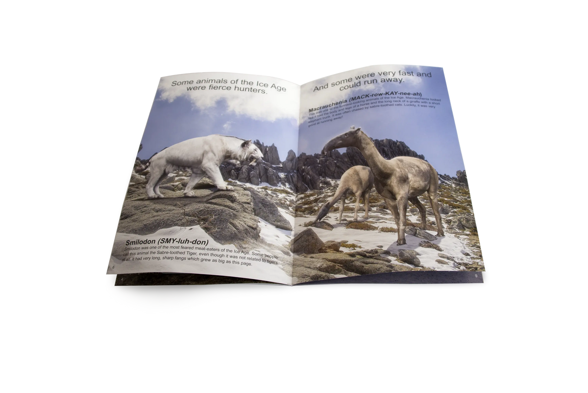 The Ice Age Big Book — alternative view