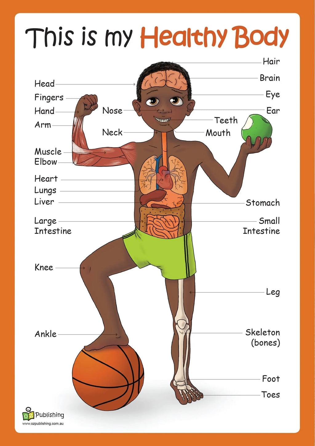 This is my healthy body Big Book with FREE Large anatomy poster! — alternative view