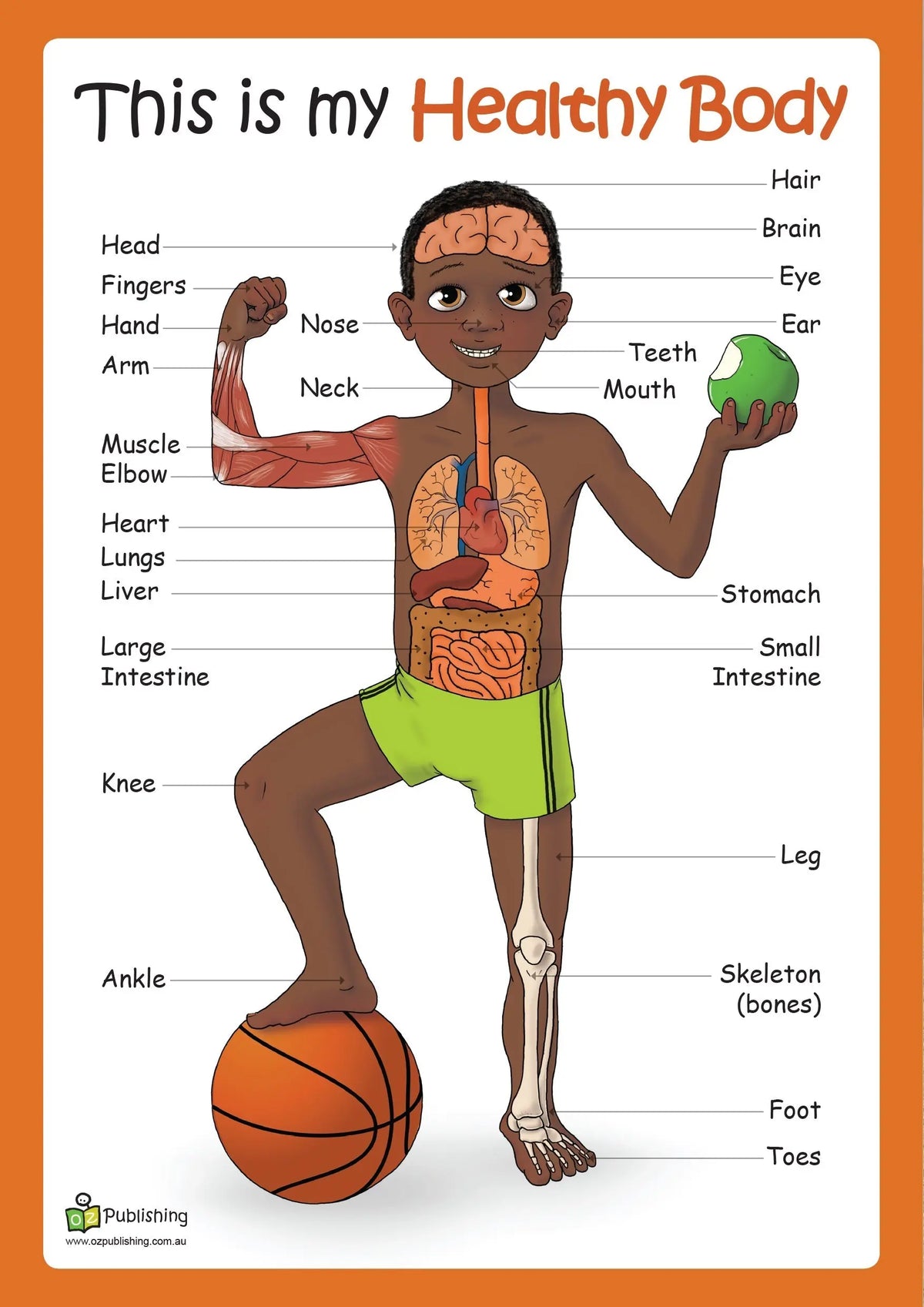 This is my healthy body Big Book with FREE Large anatomy poster! — alternative view