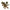 Triceratops Puppet (Brown/Green) 43cm L