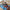 Turtles Dreaming Indigenous classroom rug with children and teacher — Aboriginal art rug by Kiz Costelloe celebrating turtle Dreamtime for classrooms