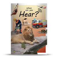 What can you Hear? Big Book