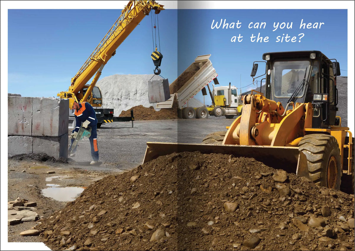 What can you Hear? Big Book — additional view
