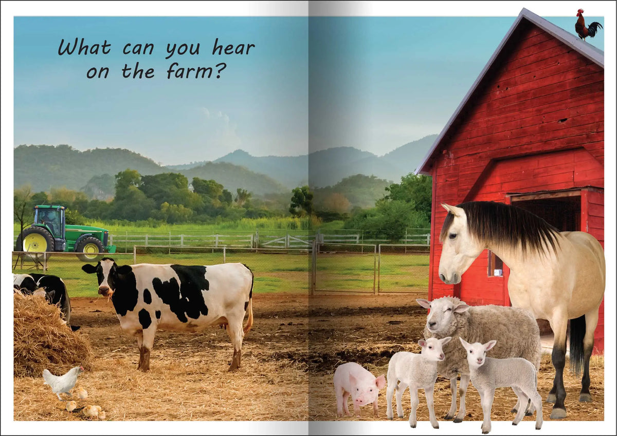 What can you Hear? Big Book — alternative view