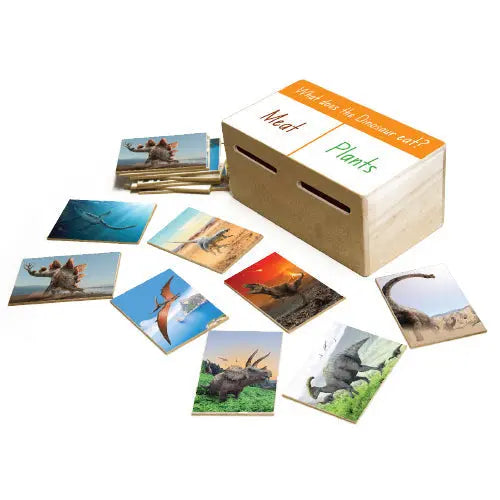 What does the dinosaur eat? Letterbox Game — Australian-made dinosaur-themed letterbox game for early childhood