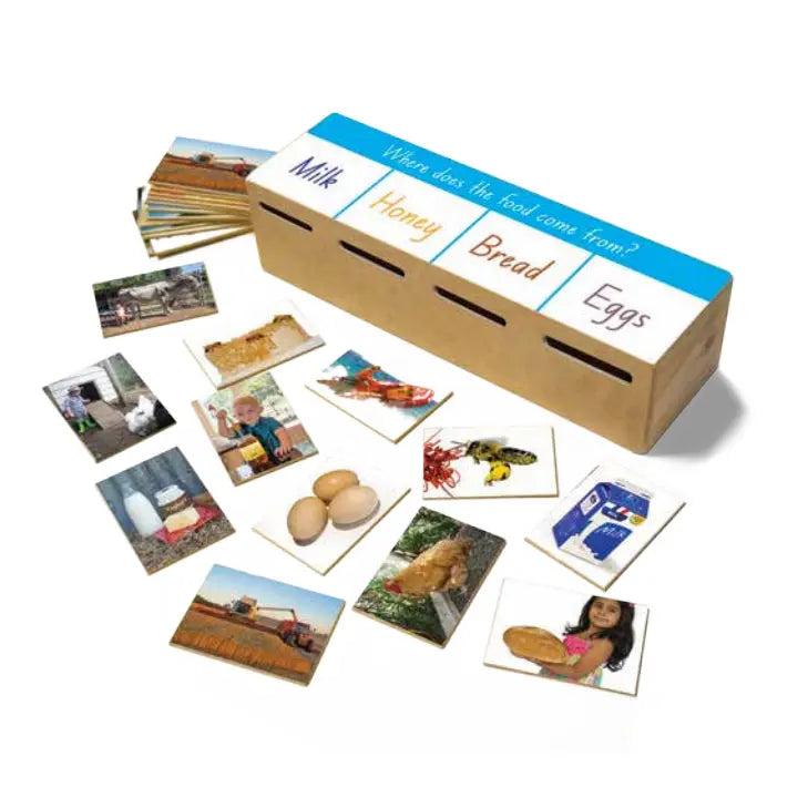 Where does the food come from? Letterbox Game — Australian-made letterbox game on food origins for early childhood