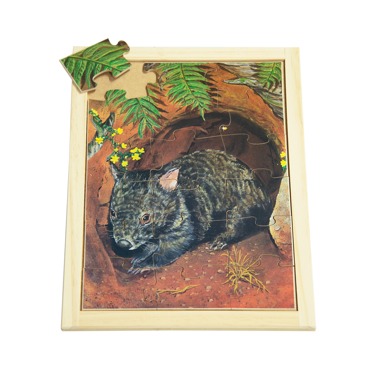 Wombat Puzzle