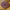 Yarning Circle Soft Mat -  Pre Order