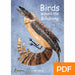 Birds around the Billabong eBook