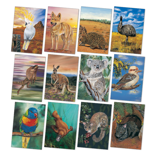 Large Australian Animals Poster Pack
