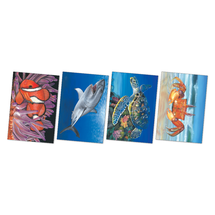 Large Sea Creatures Poster Pack