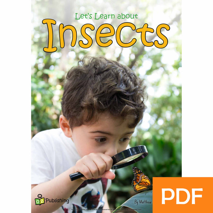 Let's Learn about Insects eBook