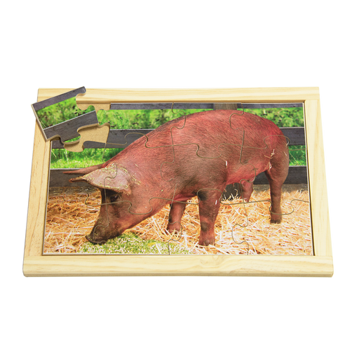 Pig Farm Puzzle