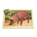Pig Farm Puzzle