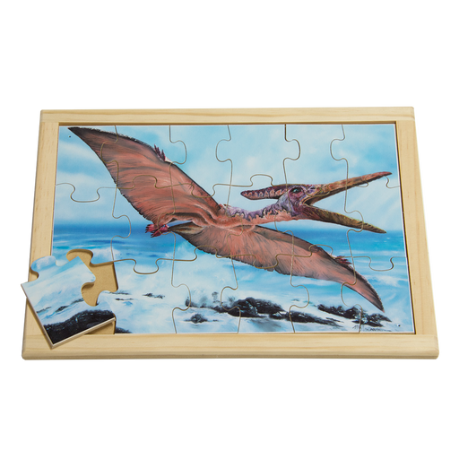 Pteranodon Puzzle