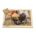 Rooster Farm Puzzle
